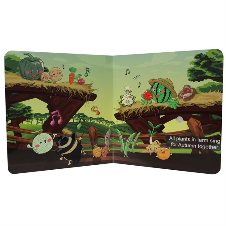 Special Design Moana Sound Book